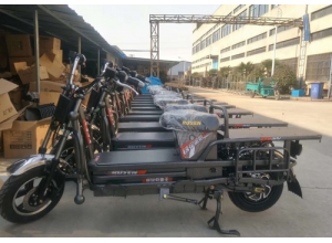 載重王電動(dòng)車