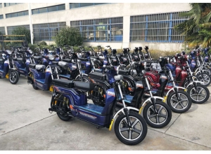 載重王電動(dòng)車