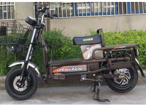 載重王電動(dòng)車
