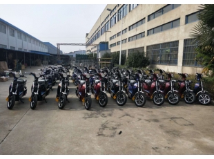 載重王電動車