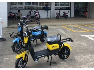 載重王電動車