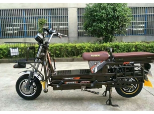 載重王電動車