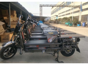 載重王電動車