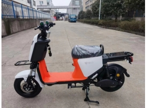 國標(biāo)車系列
