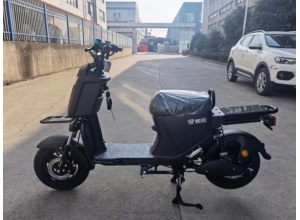國標(biāo)車系列