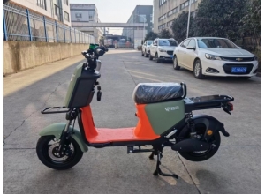 國標(biāo)車系列